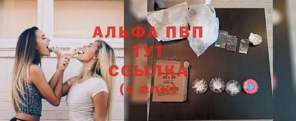 меф Арсеньев
