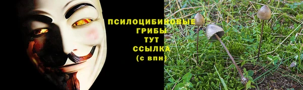 гидропоника Аркадак