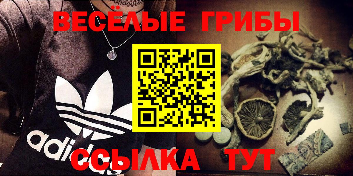 Галлюциногенные грибы мицелий  Псилоцибиновые грибы MAGIC MUSHROOMS  Вход с VPN  где найти   Рыбинск 