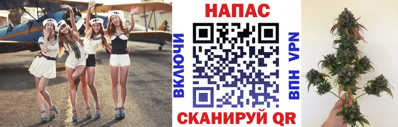 Конопля индика  Рыбинск 